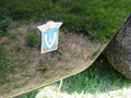 1960 Triumph Italia 2000, Vignale badge